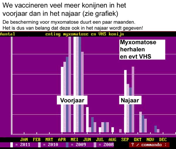 In het voorjaar vaccineren we veel meer konijnen dan in he najaar, helaas zie je meer problemen in het najaar